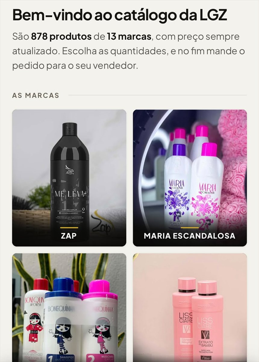 Tela inicial do catálogo LGZ, com a busca e a grade de marcas com fotos dos produtos